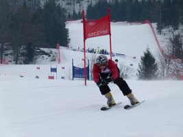 Para-ski 2012 120